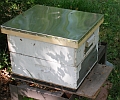 New two story hive is their home